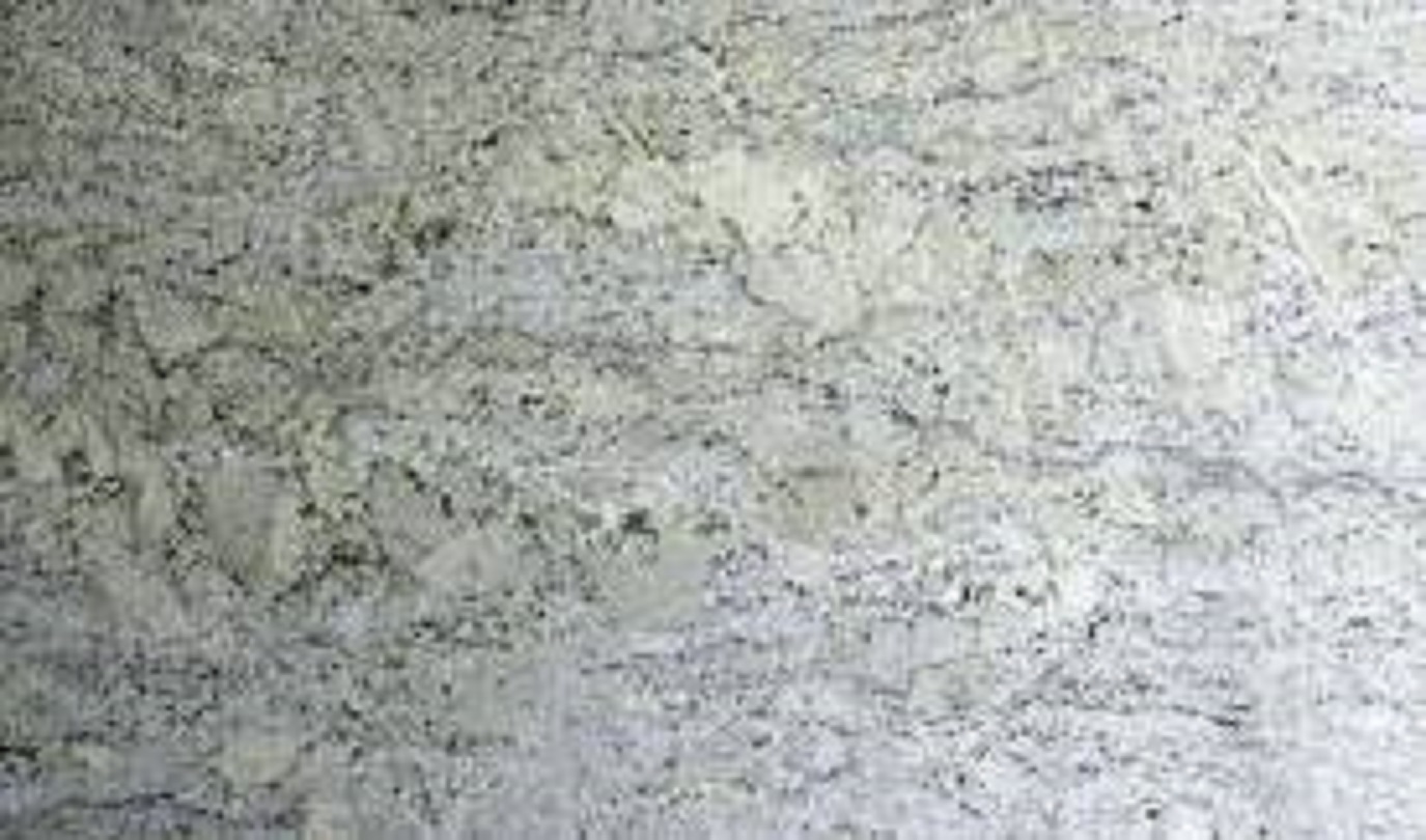 FANTASTIC WHITE